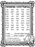 FREEBIE NWF Assessments- Nonsense Word Fluency (Elephant Theme)