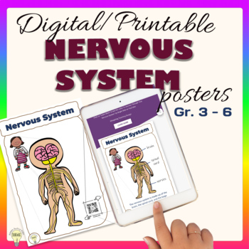 Preview of Human Body Systems: Nervous System Interactive Posters