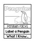 *FREEBIE* Penguin Flip Book