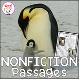 FREEBIE PENGUINS Close Reading Passages and Comprehension Questions