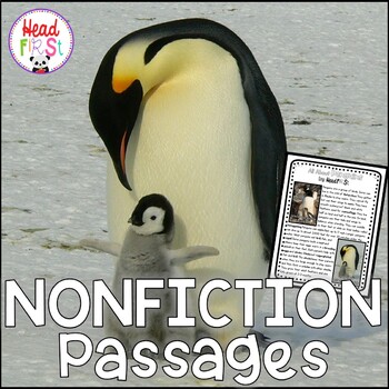 Preview of FREEBIE PENGUINS Passage for Close Reading with Comprehension Questions