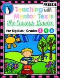 The Curious Garden Mentor Text - Visualization, Vocabulary