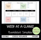 FREEBIE Weekly Newsletter Template