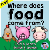 FREEBIE Where does food come from? fold and learn