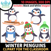 FREEBIE - Winter Penguins Clipart (Lime and Kiwi Designs)