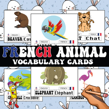 Preview of FRENCH 50 animal vocabulary cards with English translation #toast23