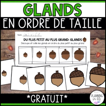 Preview of FRENCH Acorns Size Ordering for Fall FREE | Order by Size | Les Glands