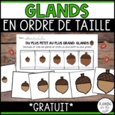 FRENCH Acorns Size Ordering for Fall FREE | Order by Size 