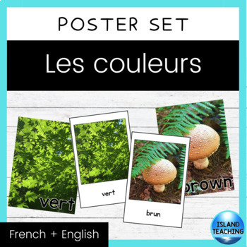 Preview of FRENCH & ENGLISH Colours/Colors Vocabulary Cards (Mur de mots - les couleurs)