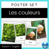 FRENCH & ENGLISH Colours/Colors Vocabulary Cards (Mur de m