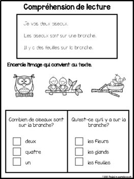Premières lectures. Beginner's French Reader; short and easy