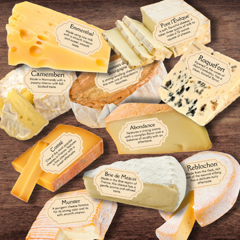 Preview of FRENCH France Cheese Info Cards w/Full Color Illustrations *10 Varieties*