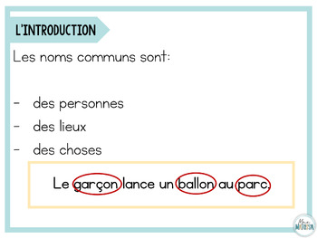 Grammaire Francaise Unite 3 Les Noms Communs Les Determinants