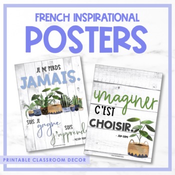 Preview of French Growth Mindset & Inspirational Posters - Volume 5