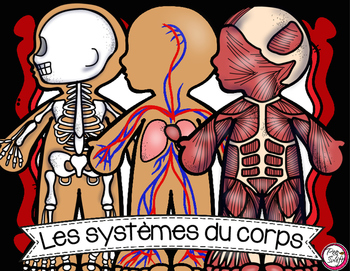 Preview of FRENCH Human Body Systems