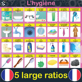 Preview of FRENCH 'Hygiene' Vocabulary Large Posters ( L'hygiène ) With 49 Images.