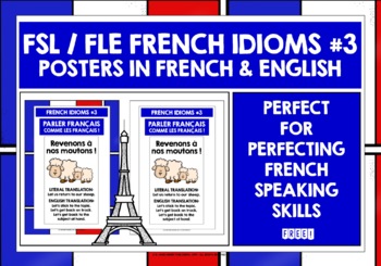 Preview of FRENCH IDIOMS POSTERS FREEBIE #3