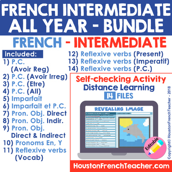Preview of FRENCH INTERMEDIATE VERBS + GRAMMAR CONCEPTS | BUNDLE - (14 PIXEL ARTS)