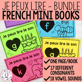 FRENCH Reading Je peux lire Decodable Mini Books for Vowel