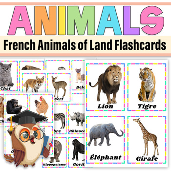 Preview of French Animals of Land Real Pictures Flashcards|Animals of Land Picture Poster