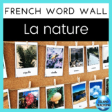 FRENCH Nature Word Wall Cards REAL IMAGES (Mur de mots - nature)