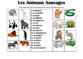 FRENCH - Picture Match - Les Animaux Sauvages (wild animals) by