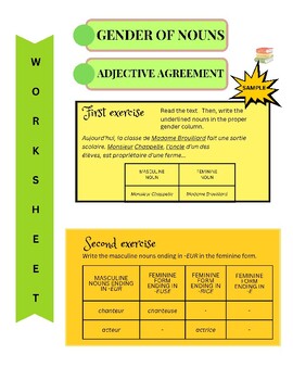 Preview of FRENCH Gender of nouns/Adjective agreement - worksheets