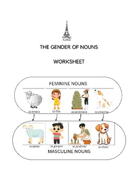 Preview of FRENCH The gender of nouns -feminine and masculine noun worksheet