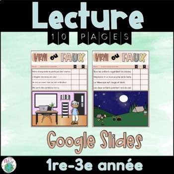 Preview of FRENCH True or False Reading Comprehension - Lecture simple - vrai ou faux