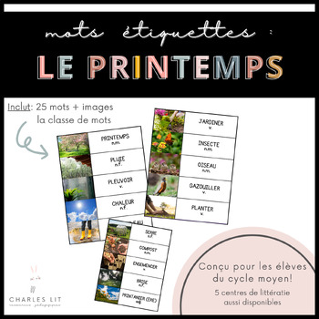 Preview of SPRING FRENCH VOCABULARY: mots étiquettes - le printemps
