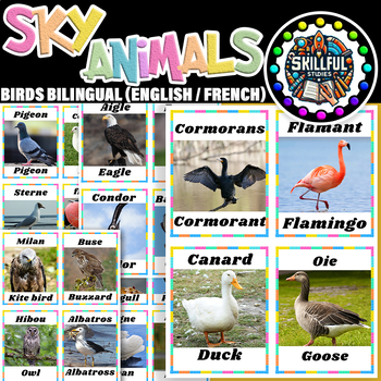 Preview of Sky Animals Birds Bilingual (English / French) Flash Cards | Birds Posters