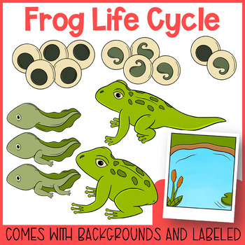 frog eggs in water clipart