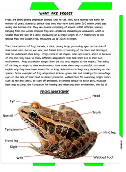 frog dissection biology