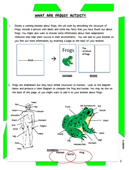 frog dissection guide
