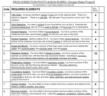 Preview of FROG DISSECTION PHOTO ALBUM RUBRIC