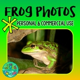FROG Photos! Green & Golden Bell Frog FREEBIE