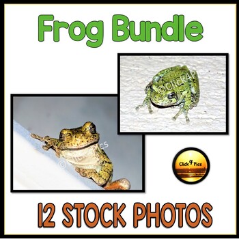 Preview of Real Photos of Frogs BUNDLE