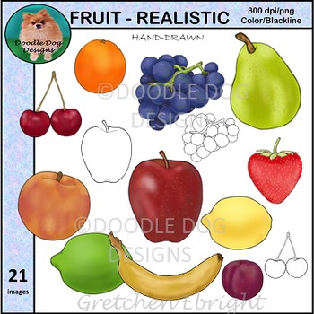 Preview of FRUIT - REALISTIC