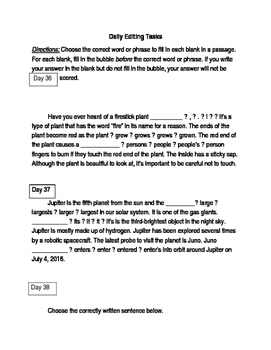 Preview of FSA ELA Test Daily Grammar Editing Tasks Practice Days 36-40