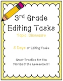 FSA Editing Task Practice #8- 3rd & 4th Grade