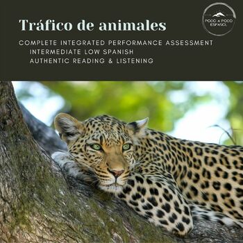 Preview of FULL IPA: Animal Trafficking for Intermediate Low Spanish