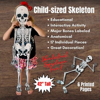 Preview of FULL SIZE (Child) Cut-Out Connectable Anatomy Skeleton w/ Bone Names