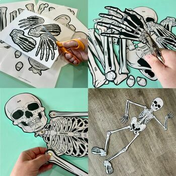 150+ Drawing Of Full Human Skeleton Stock Photos, Pictures & Royalty-Free  Images - iStock