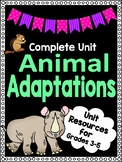 FULL UNIT - Animal Adaptations - End of Year Fun!!