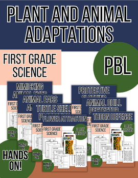 FULL UNIT: Plant and Animal Adaptations-First Grade Project Based ...
