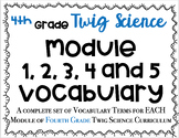 FULL YEAR of 4th Grade Twig Science VOCABULARY