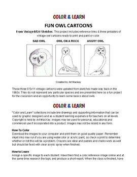 Preview of FUN OWL CARTOONS TO COLOR & LEARN