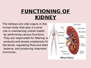 Preview of FUNCTIONING OF KIDNEY