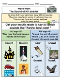 Phonics Word Work: AU and AW & Homophones