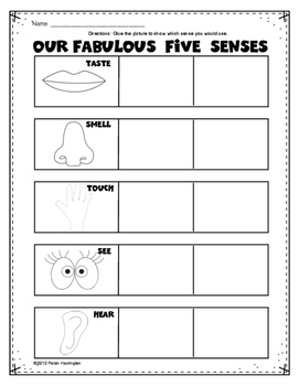 fabulous five senses picture sort science for